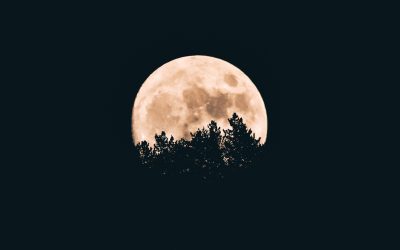 What Moon Phase is Waxing Crescent?