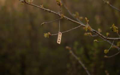 Rune Meanings in Norse Mythology: Uncovering Ancient Wisdom
