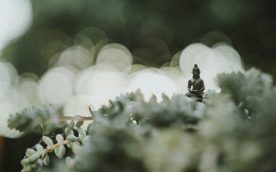 Zen Buddhism vs Pure Land Buddhism: A Comparative Exploration